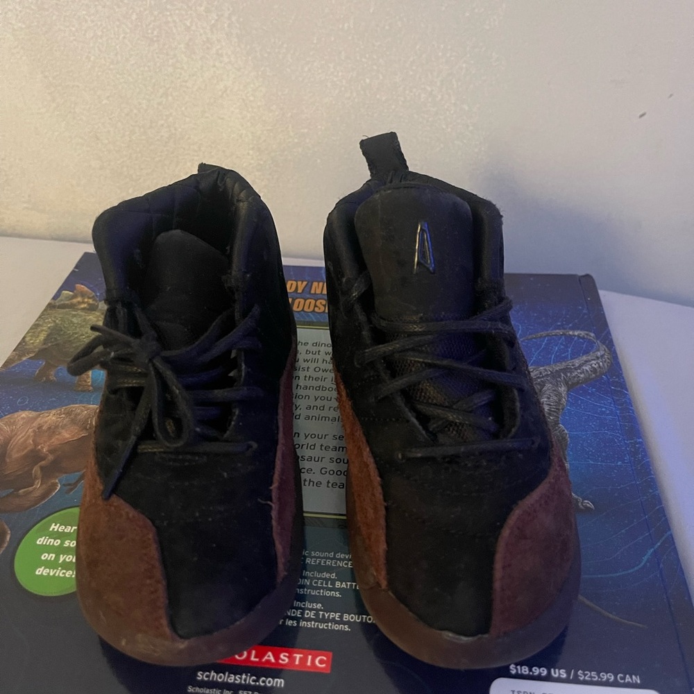 Jordan 12
